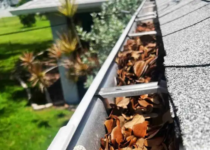New Albany gutter cleaning home page